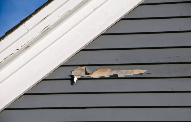 Best Same-Day Junk Removal Services  in Leadington, MO