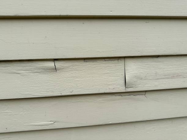 Best Demolition Debris Removal  in Leadington, MO
